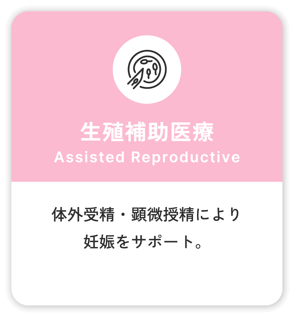 生殖補助医療 Assisted Reproductive 体外受精・顕微授精により妊娠をサポート。
