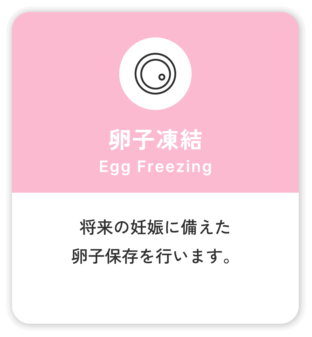 卵子凍結 Egg Freezing 将来の妊娠に備えた卵子保存を行います。
